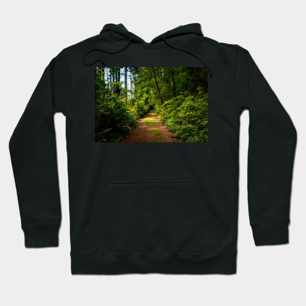 Hiking path at golden hour Hoodie by blossomcophoto